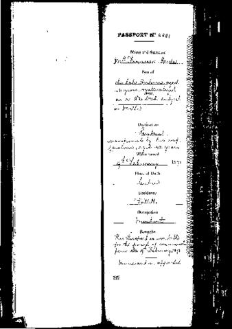 Open original Digital object