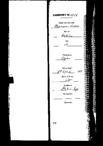 Open original Digital object