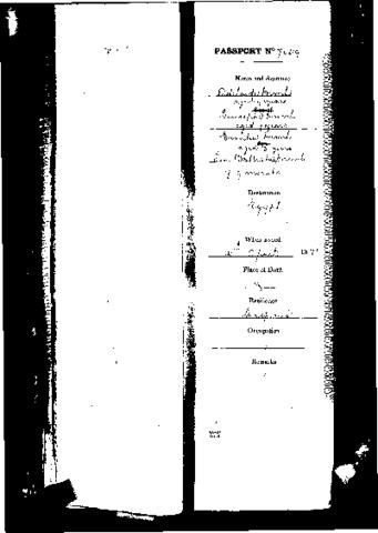 Open original Digital object