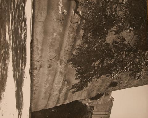 Open original Oggetto digitale