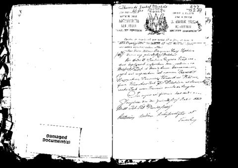 Open original Digital object