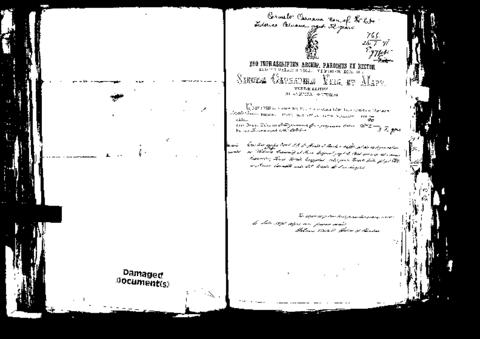 Open original Digital object