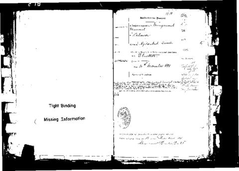 Open original Digital object