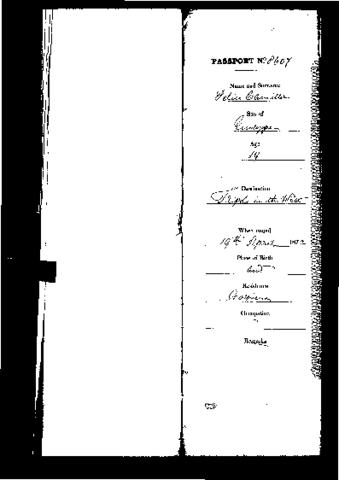 Open original Digital object