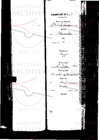 Open original Digital object