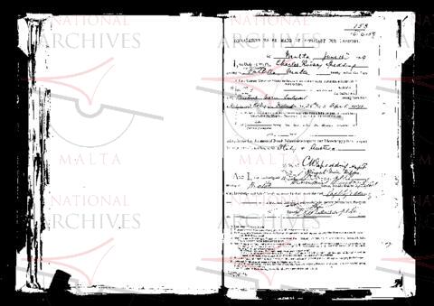 Open original Digital object