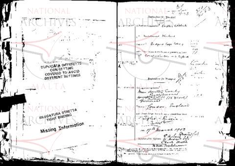 Open original Digital object