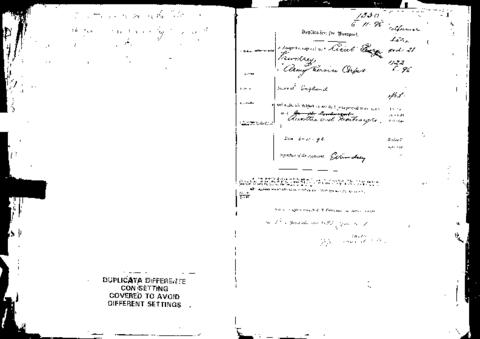 Open original Digital object