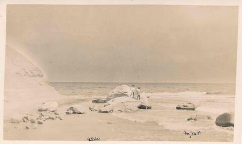 Open original Digital object