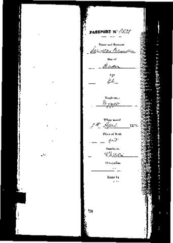 Open original Digital object