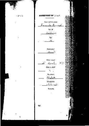 Open original Digital object