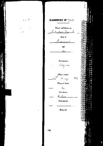 Open original Digital object