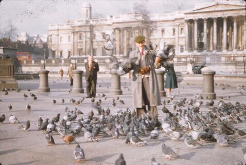 Open original Digital object