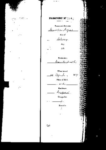 Open original Digital object