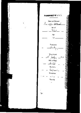 Open original Digital object