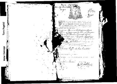 Open original Digital object