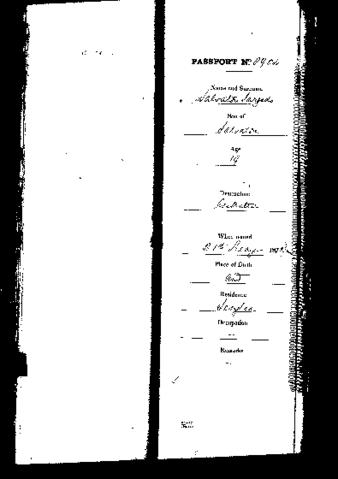 Open original Digital object