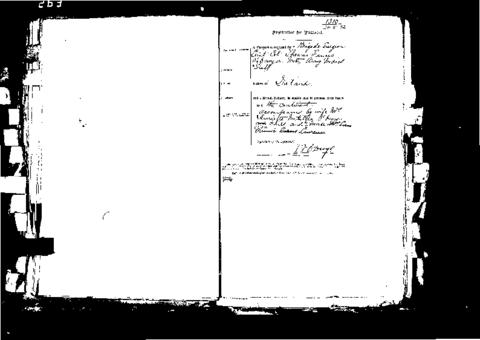 Open original Digital object