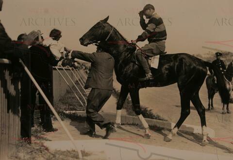 Open original Digital object