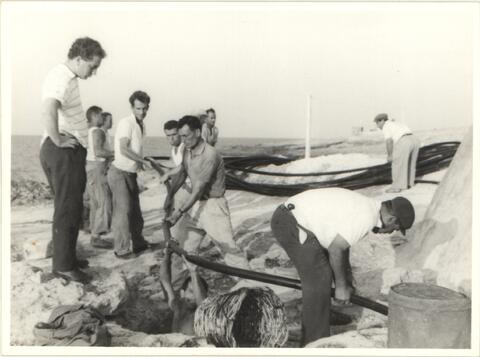 Open original Digital object