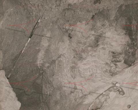 Open original Oggetto digitale