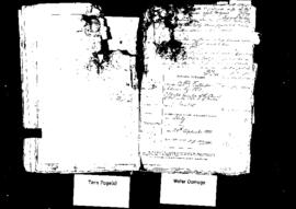 Passport Application of Adami Goffredo LLD