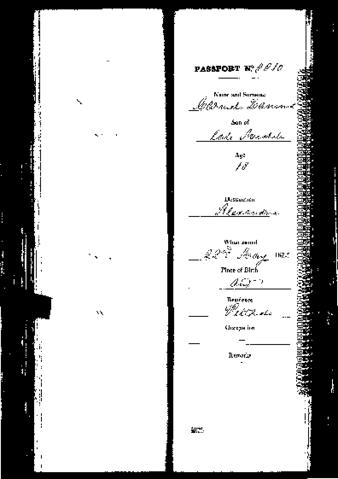 Open original Digital object