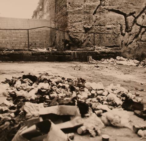 Open original Oggetto digitale