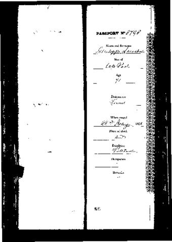 Open original Digital object