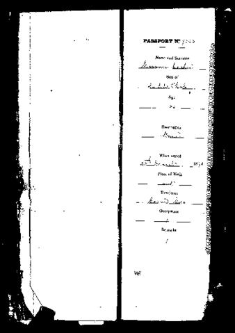 Open original Digital object