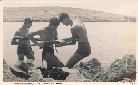 Open original Digital object