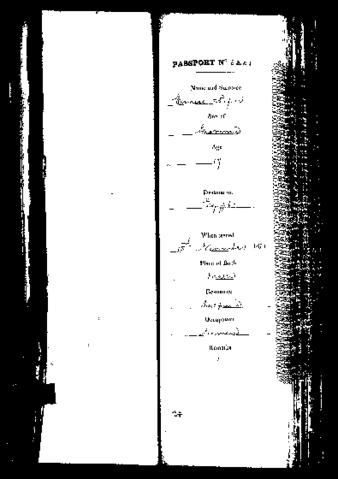 Open original Digital object