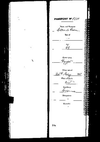 Open original Digital object