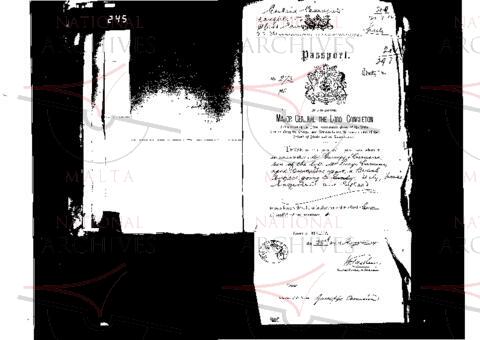 Open original Digital object