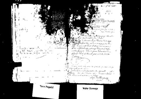 Open original Oggetto digitale