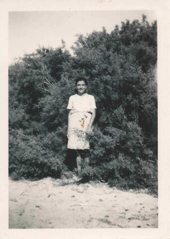 Open original Oggetto digitale