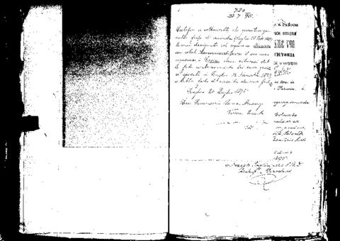 Open original Digital object