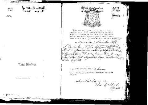 Open original Digital object