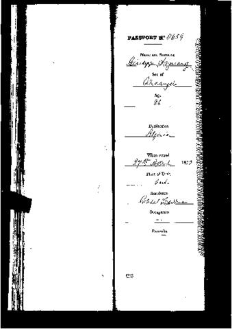 Open original Digital object