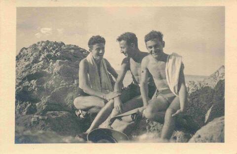 Open original Digital object