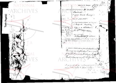 Open original Digital object