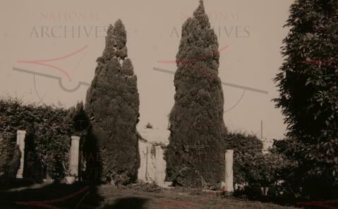 Open original Oggetto digitale