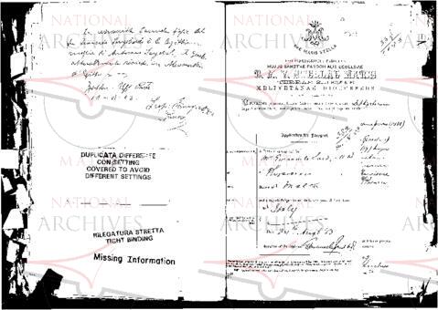 Open original Digital object