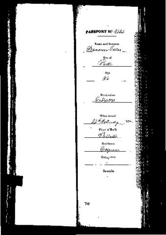 Open original Digital object