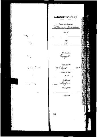 Open original Digital object