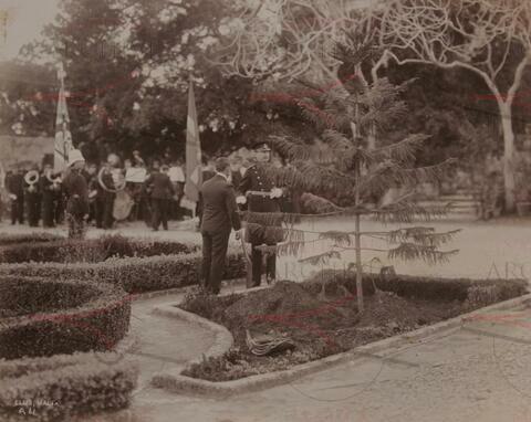 Open original Digitaal object