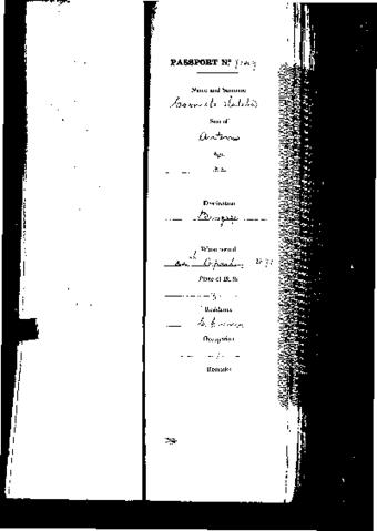 Open original Digital object