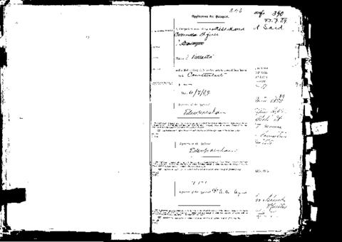 Open original Digital object