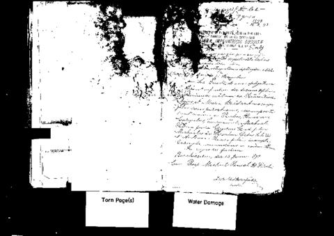 Open original Oggetto digitale