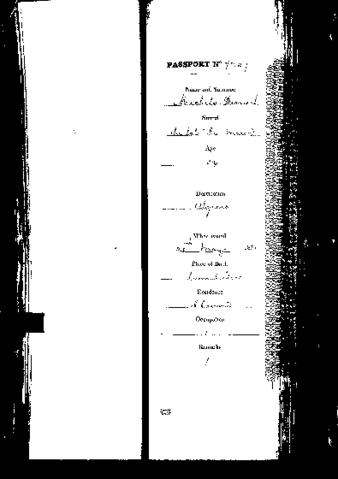 Open original Digital object